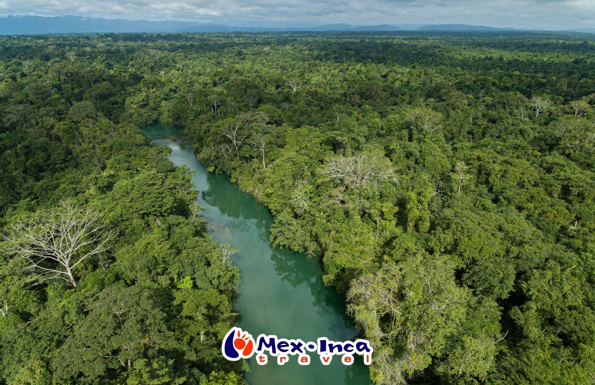 La_Selva_de_Chiapas_5_estrellas