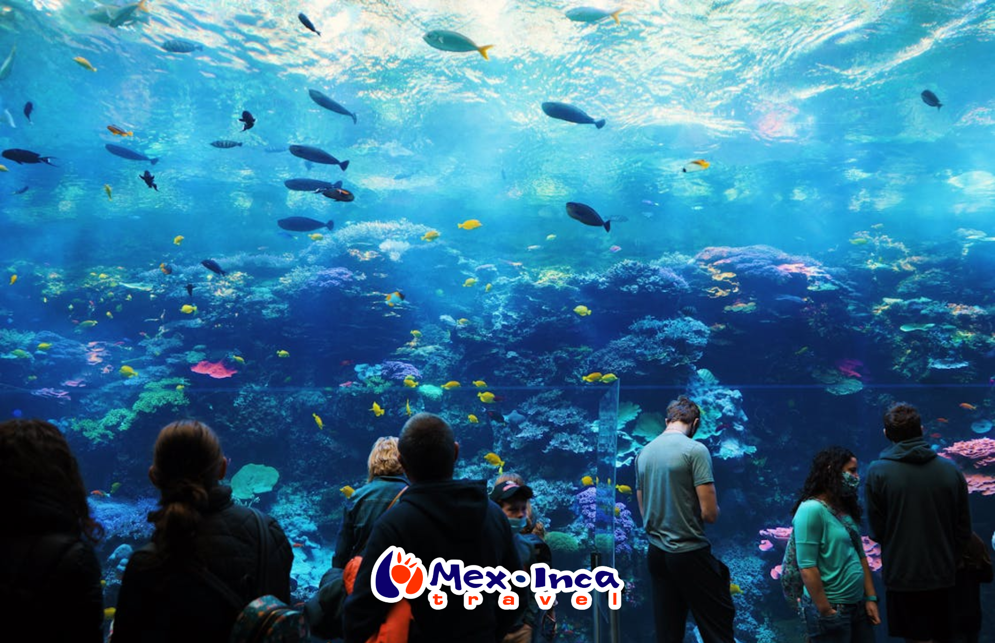 Paquete_8_atractivos_con_Acuario_y_Museos